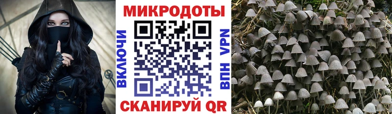 Псилоцибиновые грибы Psilocybine cubensis  где можно купить наркотик  Самара 