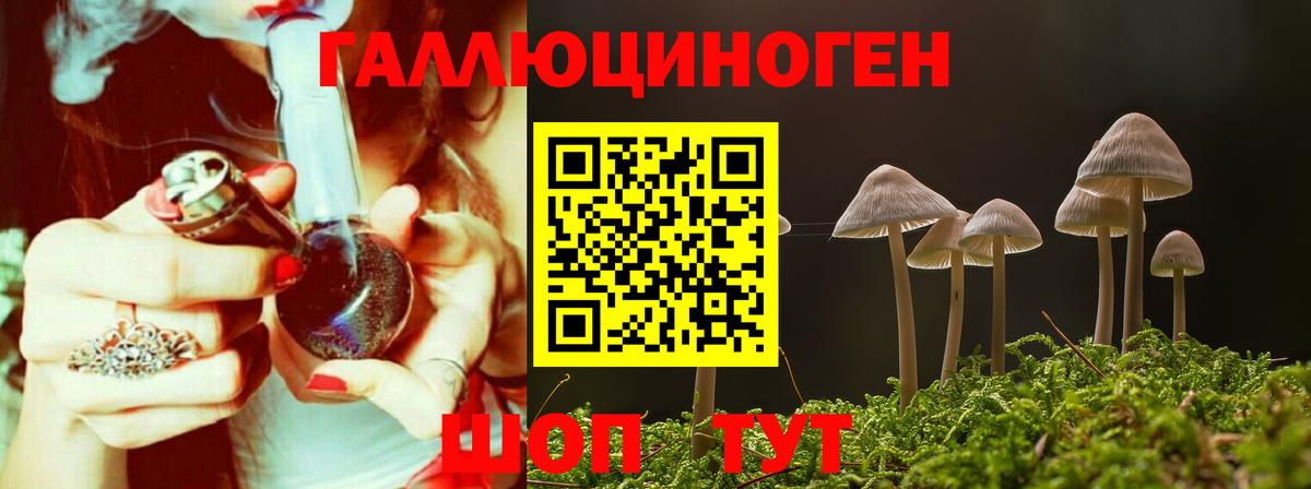 где можно купить наркотик  Псилоцибиновые грибы прущие грибы  Псилоцибиновые грибы Psilocybine cubensis  Вход с VPN  Самара 