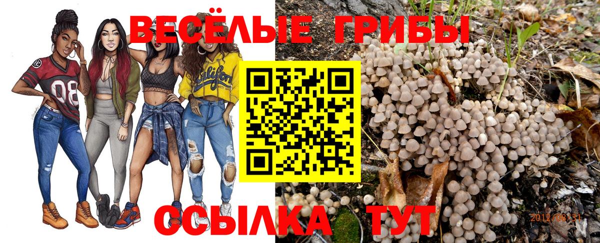 Псилоцибиновые грибы мицелий Самара